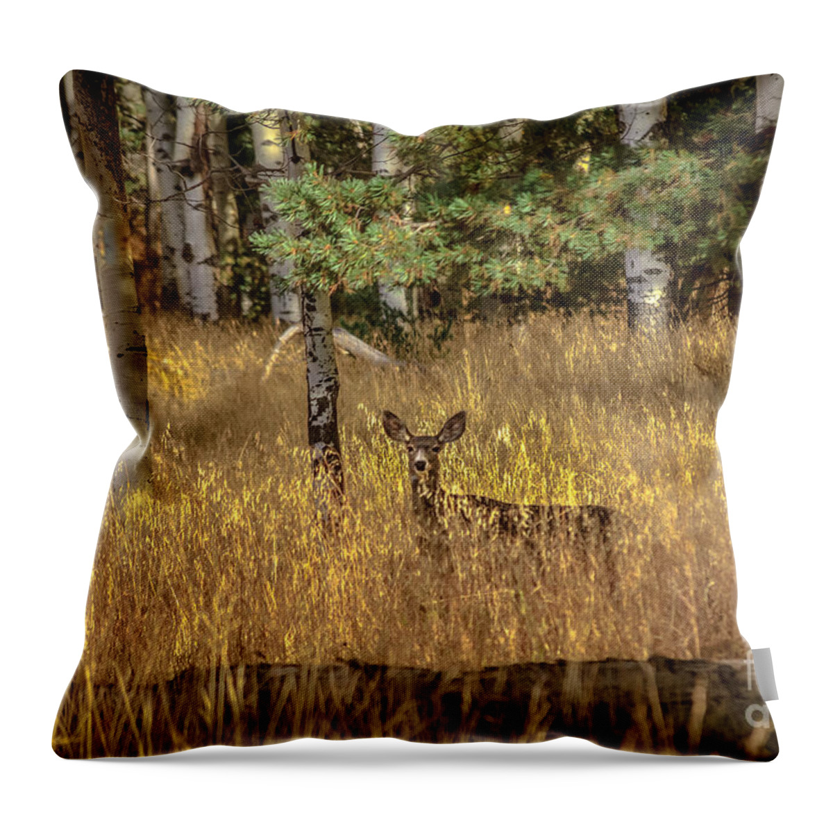 Animal Nature Throw Pillow featuring the photograph Mule Deer In The Aspens by Robert Bales