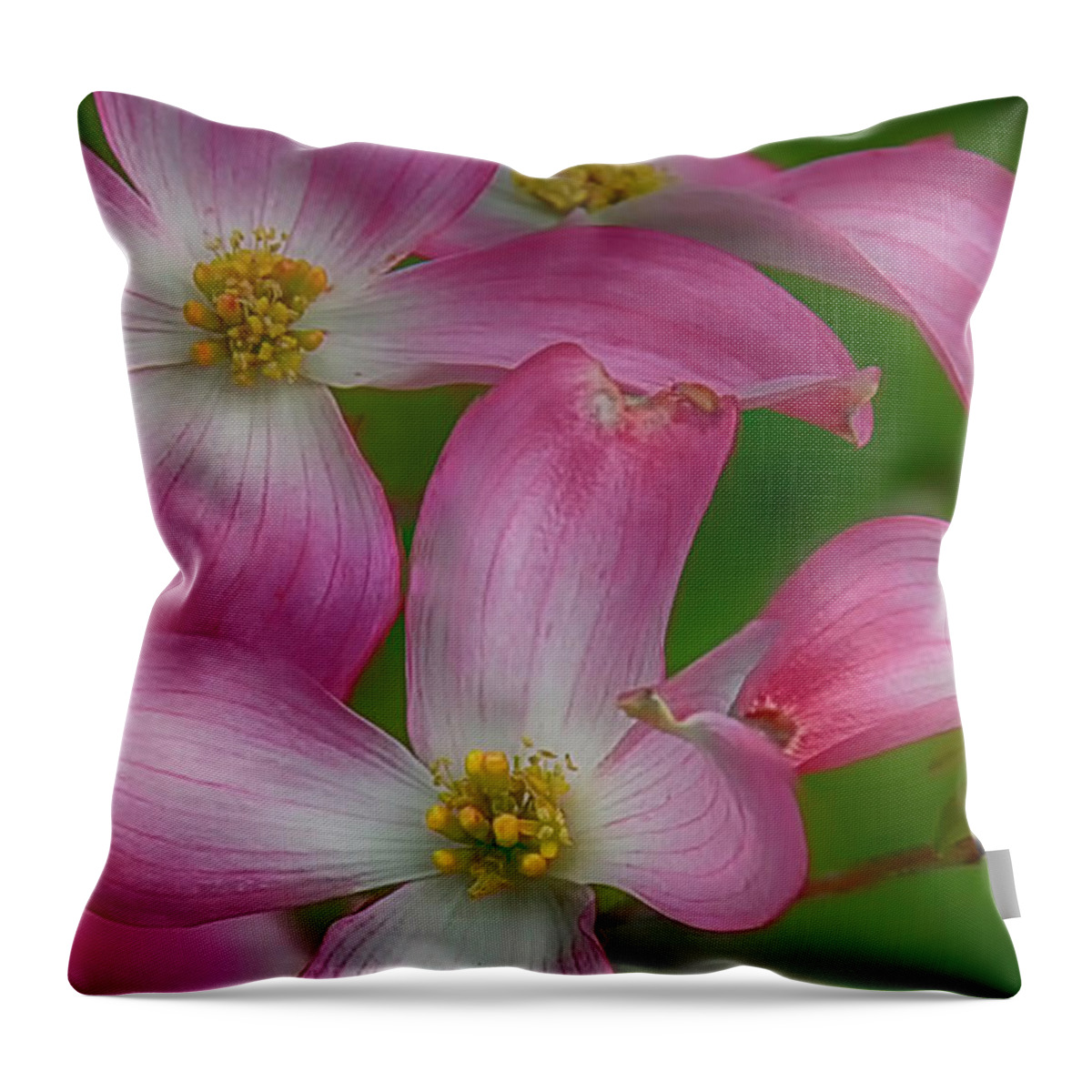 Pink Throw Pillow featuring the photograph Mulligan by Skip Tribby