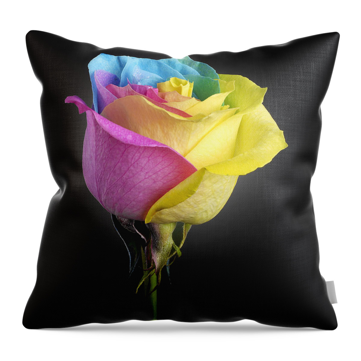 Rainbow Rose Throw Pillow featuring the photograph Rainbow Rose 1 by Tony Cordoza