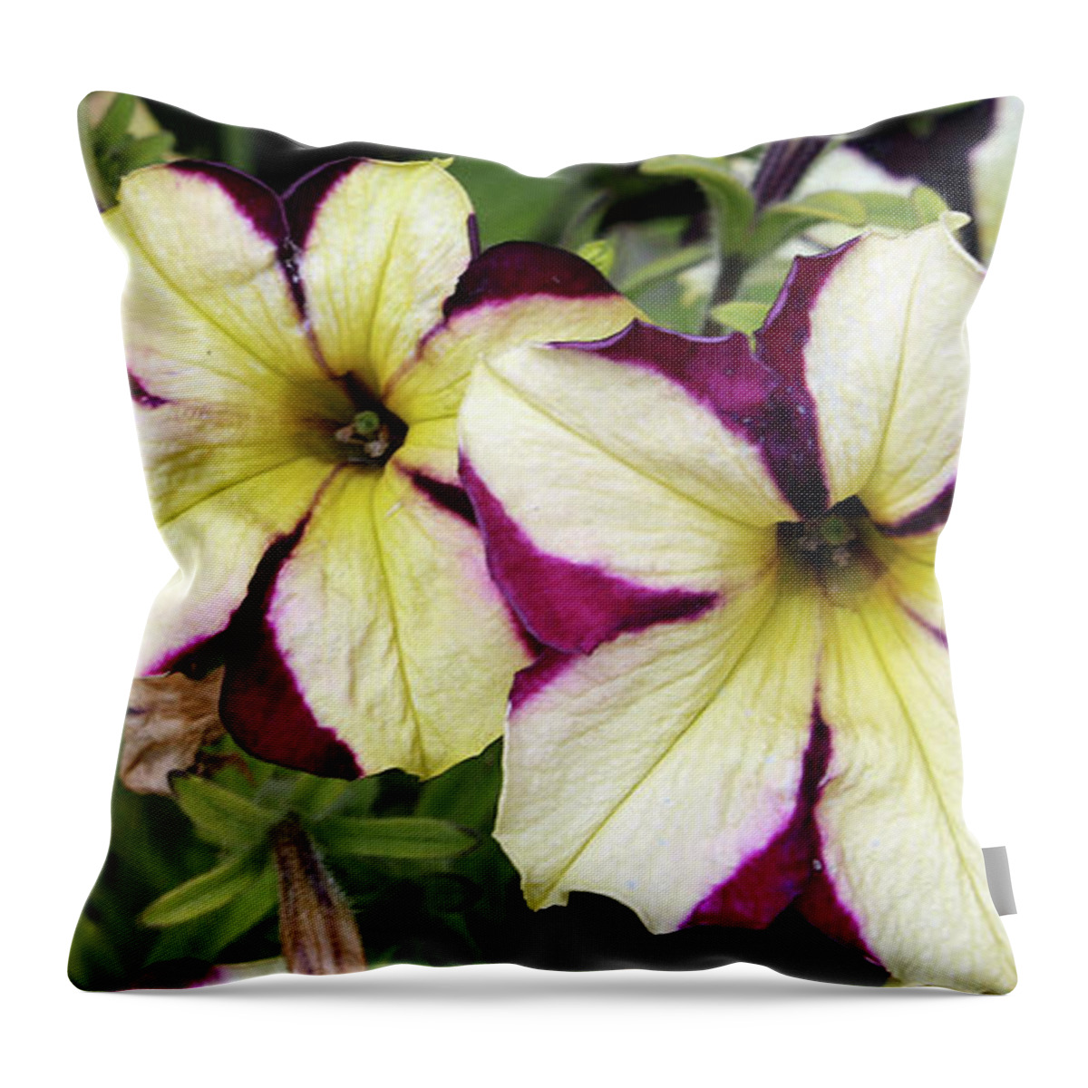 Flower Throw Pillow featuring the photograph Multicolored Petunias by Ellen Tully