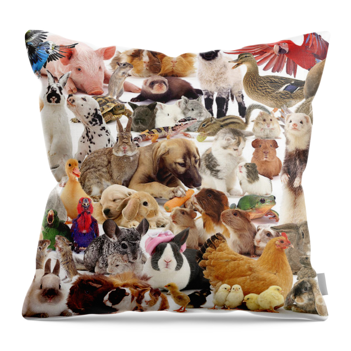 Pets Throw Pillow featuring the photograph Multiple Pets Montage by Warren Photographic