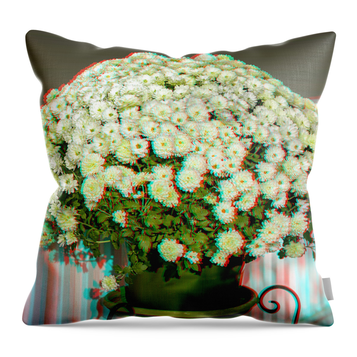 3d Throw Pillow featuring the photograph Mums On The Porch - Use Red-Cyan 3D Glasses by Brian Wallace