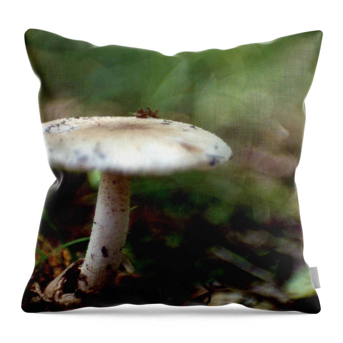 Nature Throw Pillow featuring the photograph Mushroom 2 by Sam Davis Johnson
