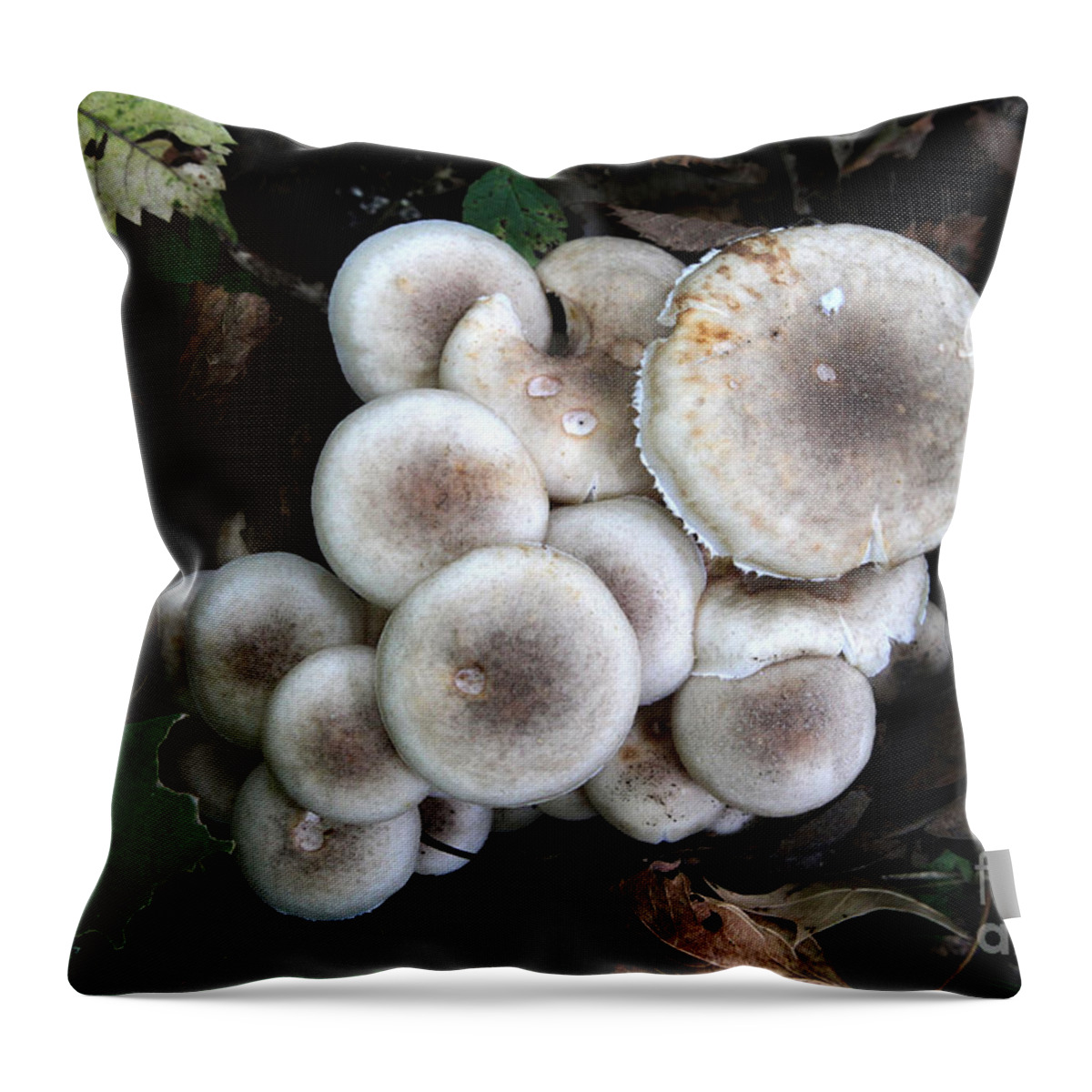 Mushrooms Throw Pillow featuring the photograph Mushroom Cluster # 2 by Rick Rauzi