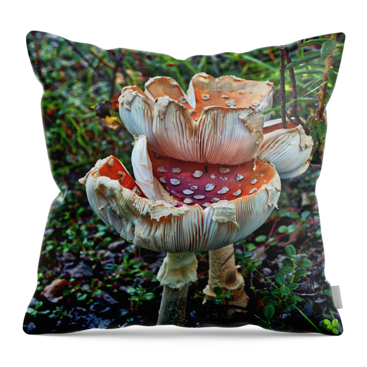 Mushroom Throw Pillow featuring the photograph Mushroom Gills by Cathy Mahnke