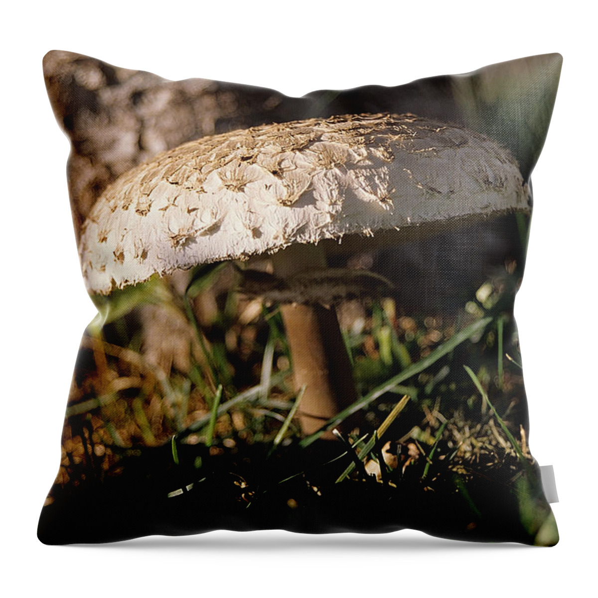Mushroom Throw Pillow featuring the photograph Mushroom I by Sharon Elliott