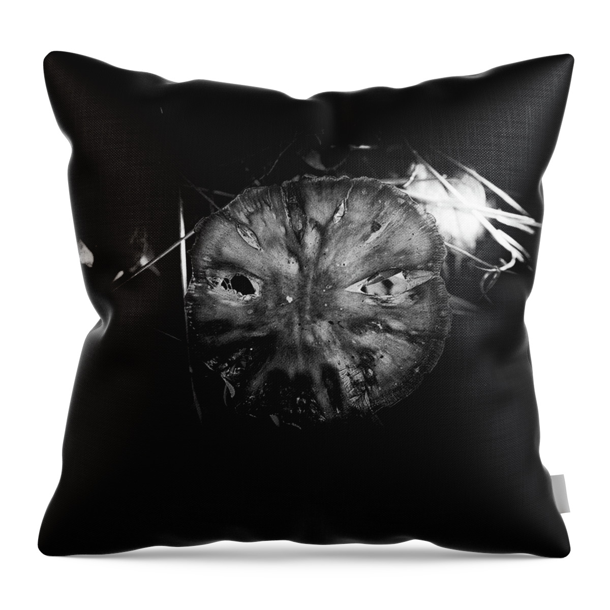 Mushroom Throw Pillow featuring the photograph Mushroom Mask by Sue Capuano