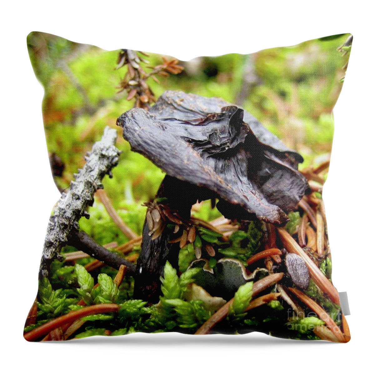 Mushroom Throw Pillow featuring the photograph Mushroom by 'REA' Gallery