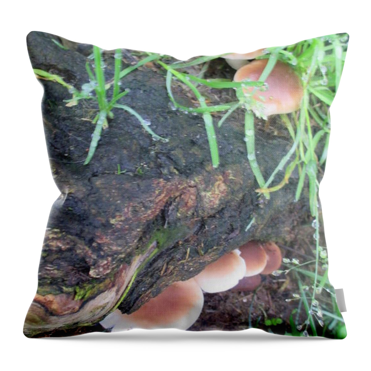Mushrooms Throw Pillow featuring the photograph Mushrooms under the tree by Anamarija Marinovic