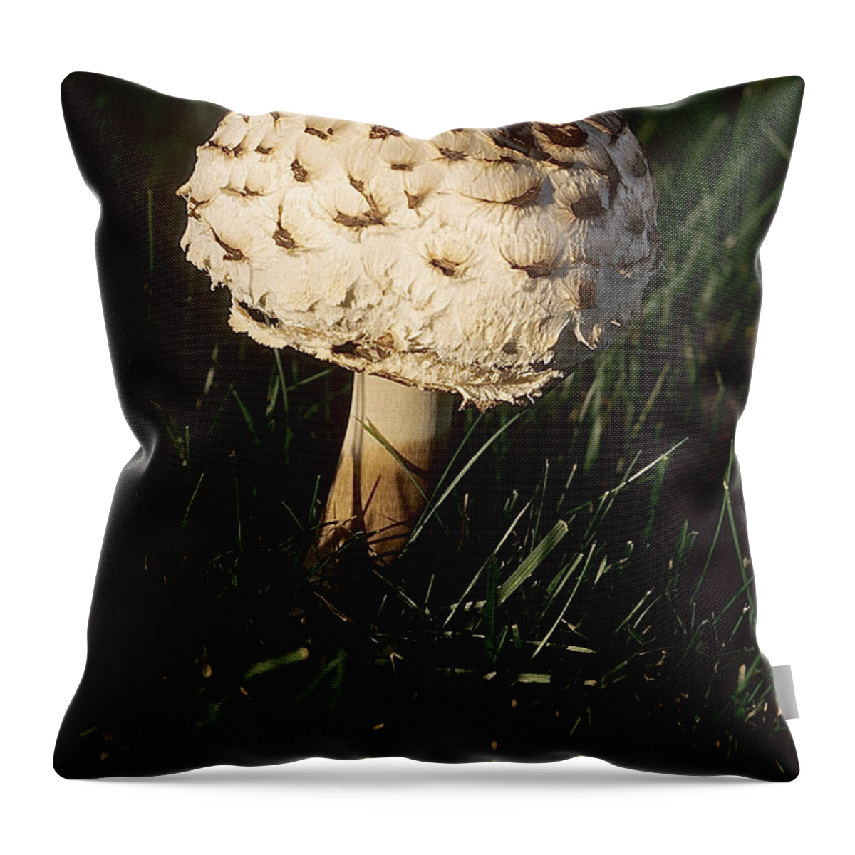 Mushrooms Throw Pillow featuring the photograph Mushrooms VI by Sharon Elliott