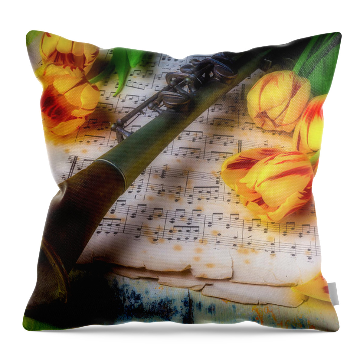 Old Throw Pillow featuring the photograph Music Still Life by Garry Gay