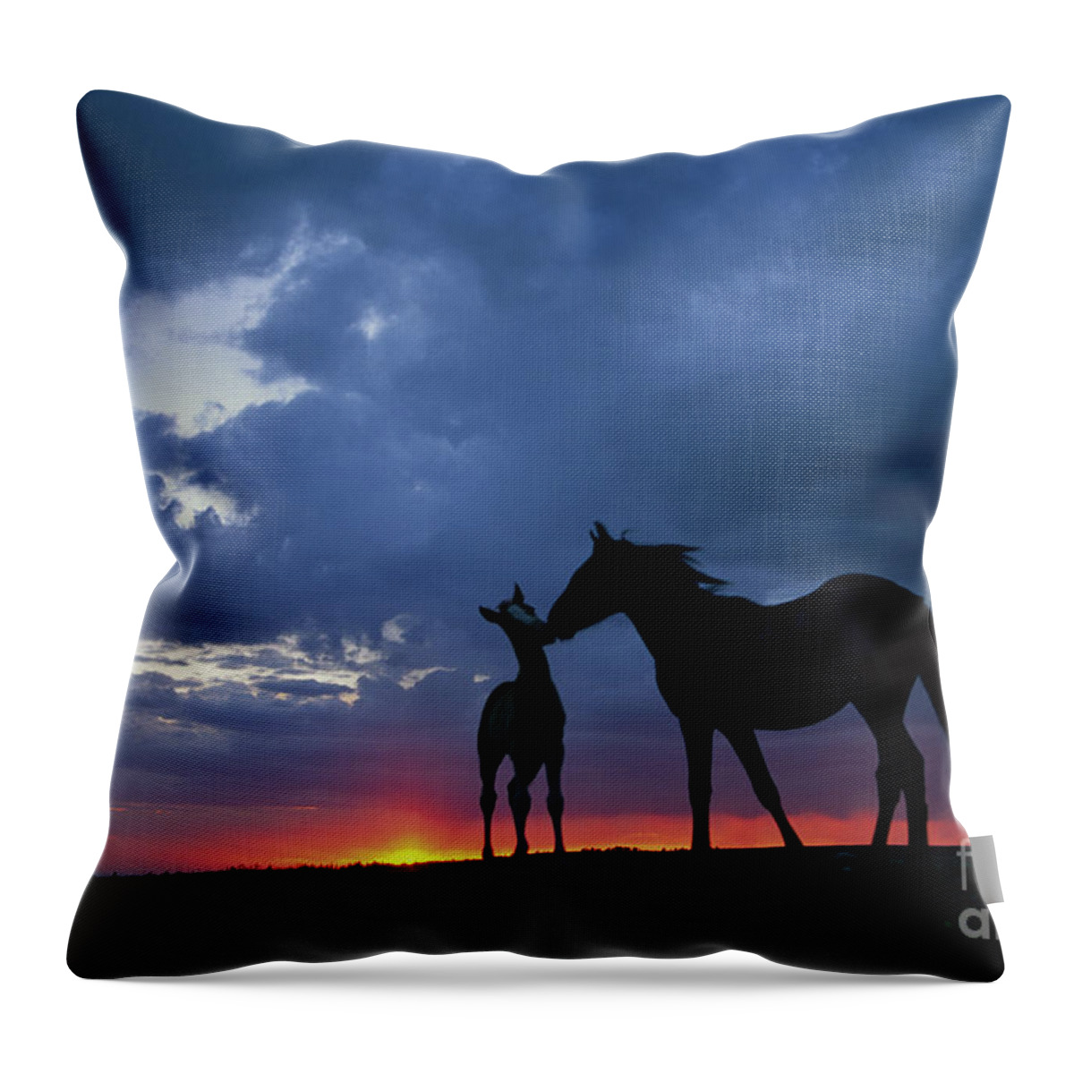 00340054 Throw Pillow featuring the photograph Mustang and Foal at Sunset by Yva Momatiuk John Eastcott
