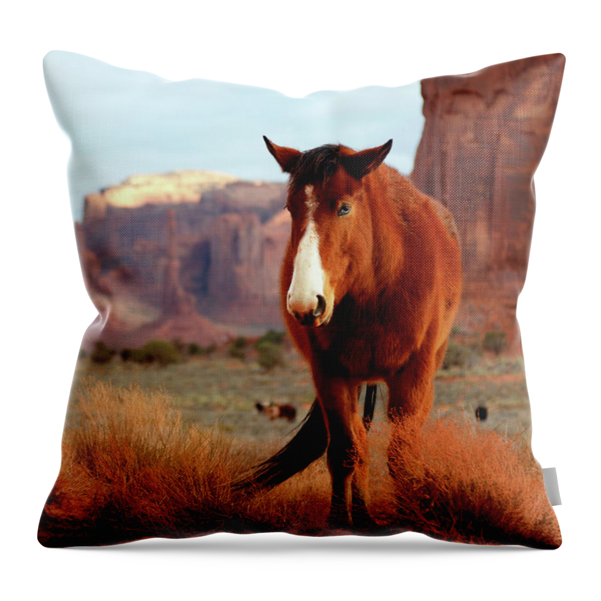 Mustang Throw Pillow featuring the photograph Mustang by Nicholas Blackwell