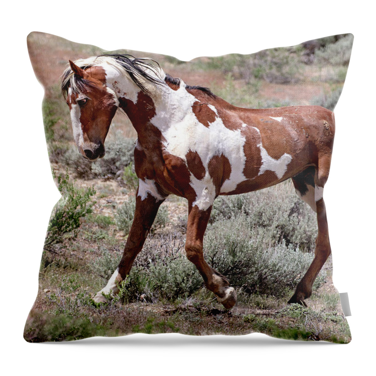 Pinto Throw Pillow featuring the photograph Mustang Power by Mindy Musick King