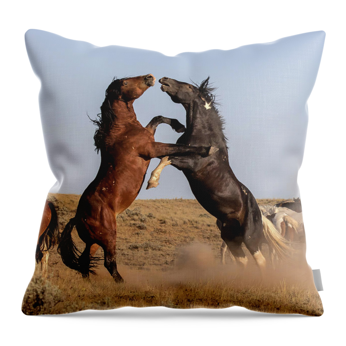 Mustangs Throw Pillow featuring the photograph Mustang Stallions by Jack Bell