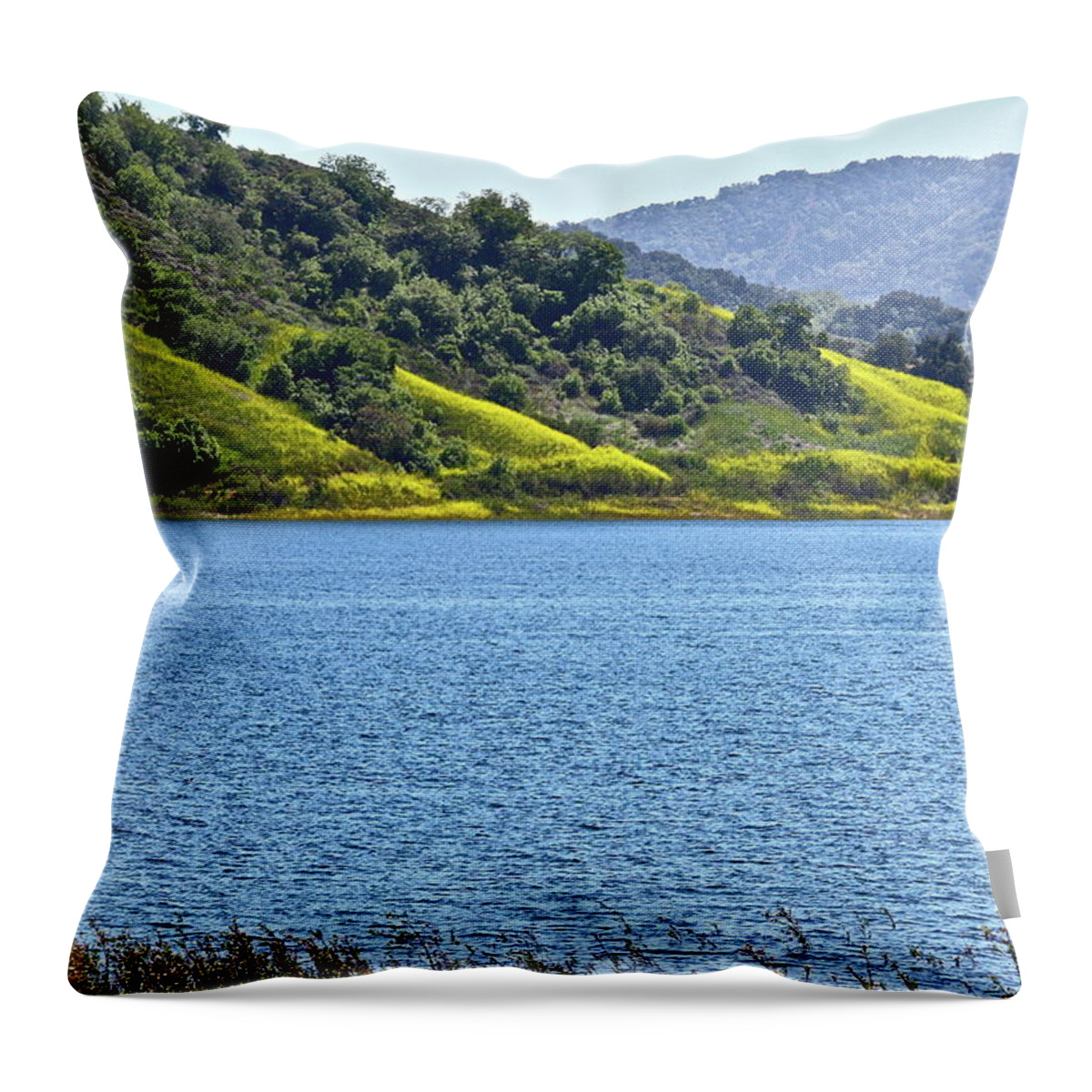 Landscape Throw Pillow featuring the photograph Mustard Patches by Diana Hatcher