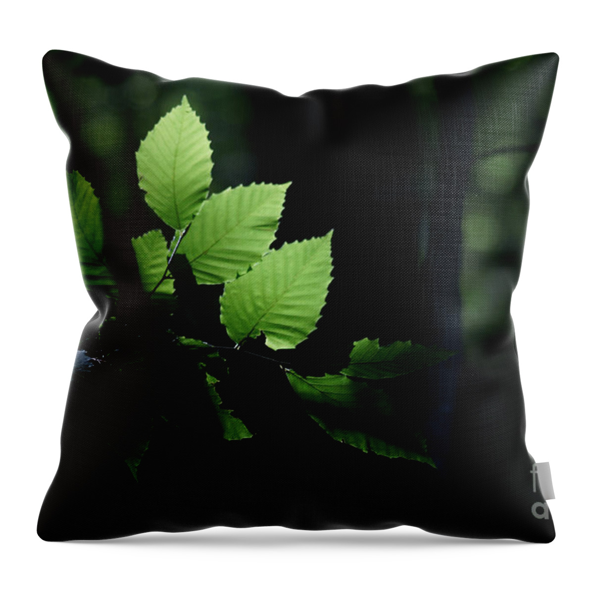 Forest Throw Pillow featuring the photograph Mute And Motionless As If Himself A Shadow by Linda Shafer