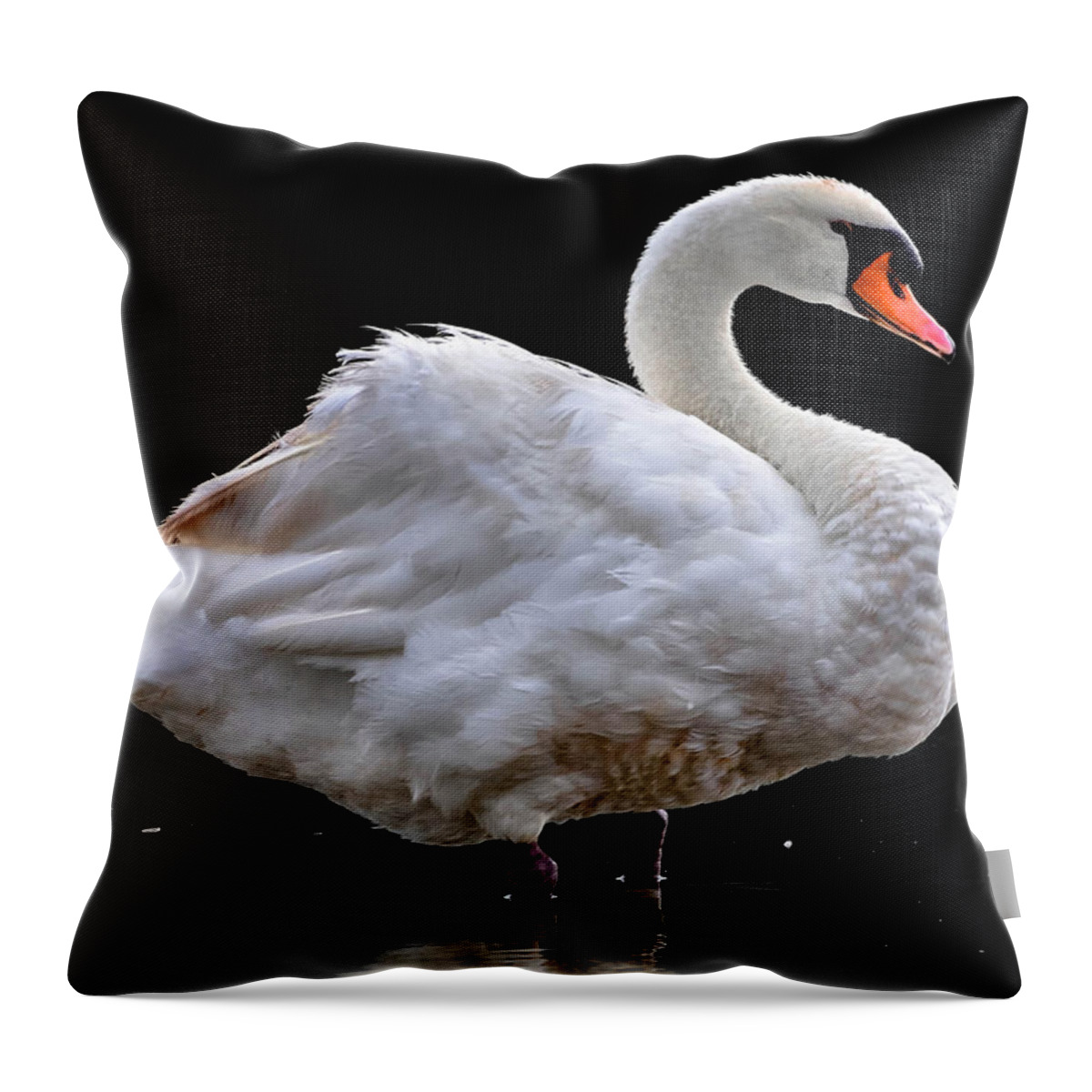  Throw Pillow featuring the photograph Mute Swan 3 by Brian Stevens