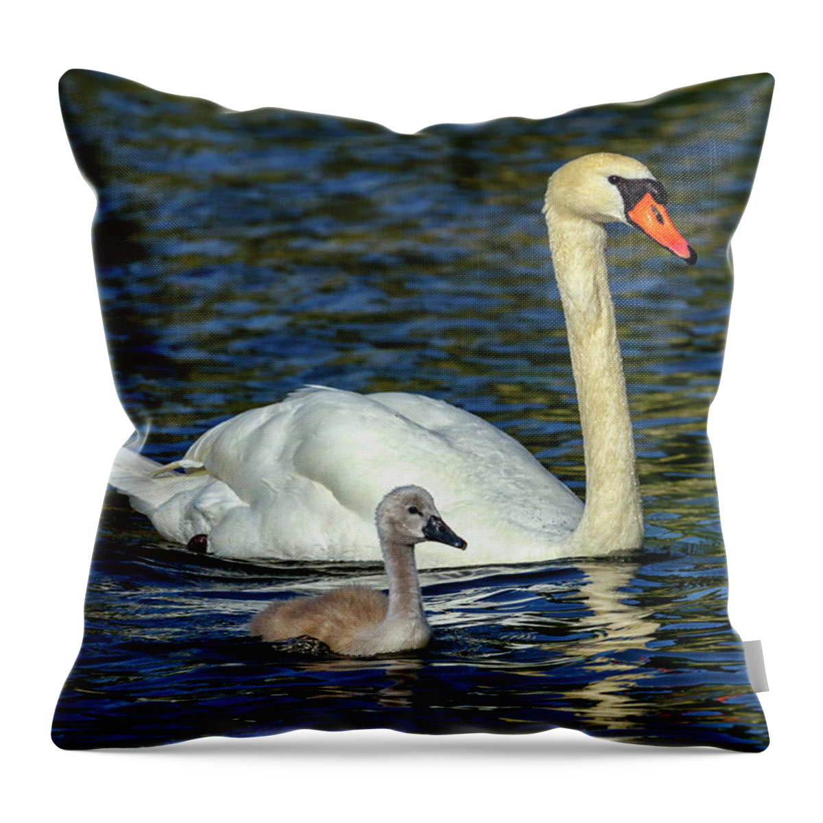 Swan Throw Pillow featuring the photograph Mute swan, cygnus olor, mother and baby by Elenarts - Elena Duvernay photo