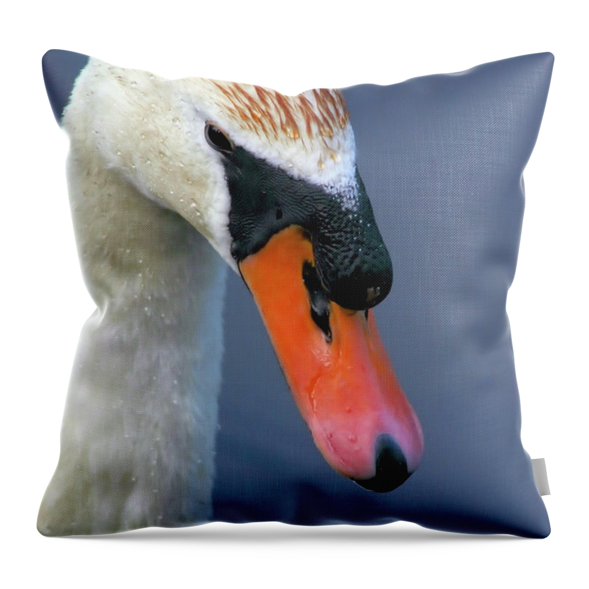 Swan Throw Pillow featuring the photograph Mute Swan by Karol Livote