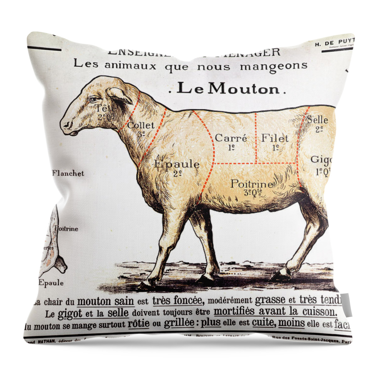 Le Mouton; Lamb; Sheep; Joint; Cut; Meat; Food; Animal; Mutton; Butchering Throw Pillow featuring the drawing Mutton by French School