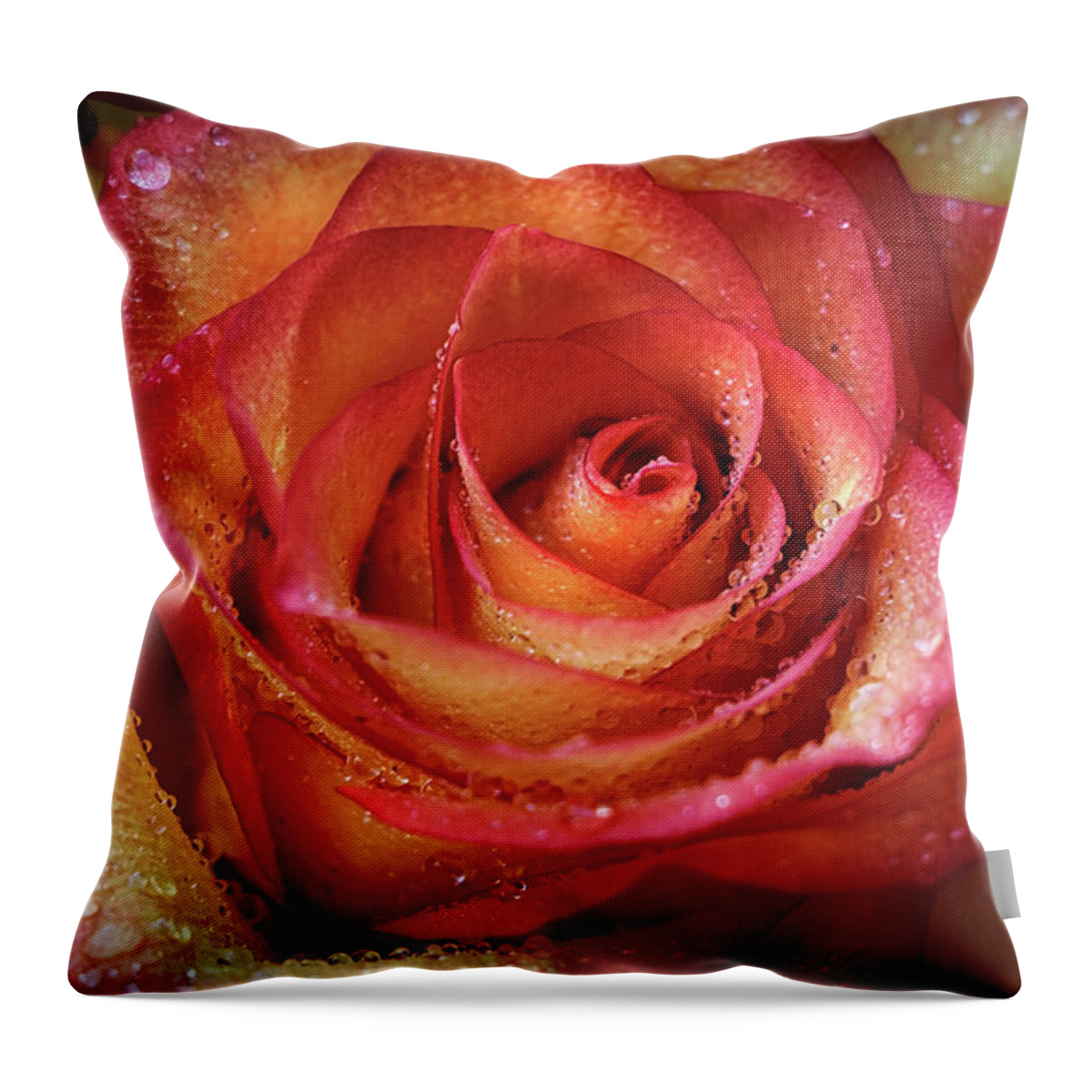 Rose Throw Pillow featuring the photograph My Anniversary Roses by Elaine Malott