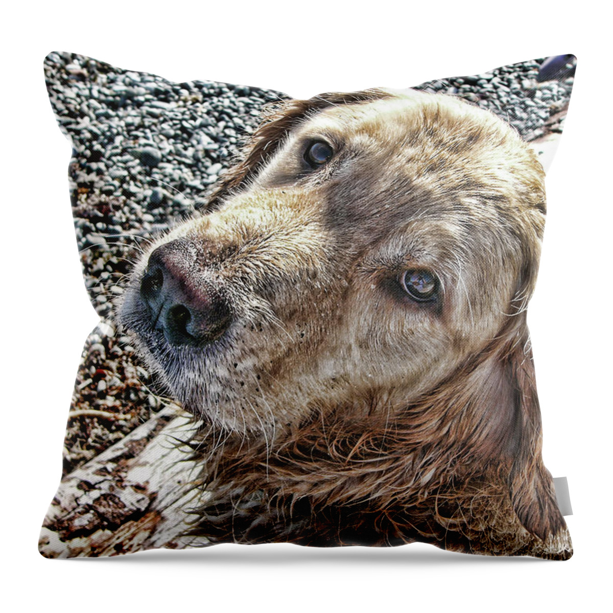 Nature Throw Pillow featuring the photograph My Boy by Rhonda McDougall