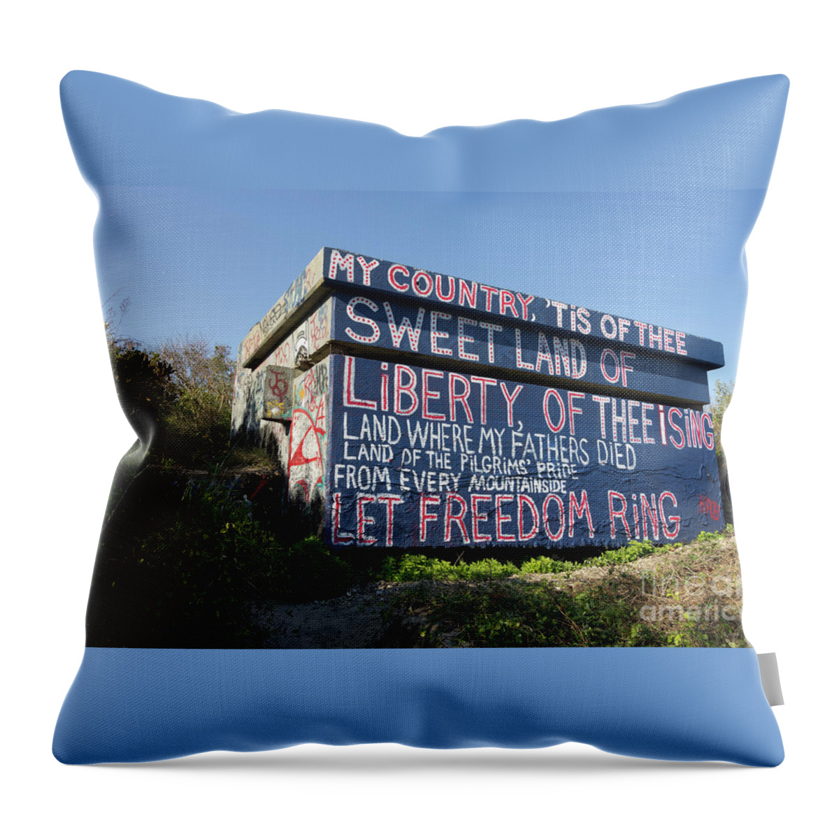 Urban Throw Pillow featuring the photograph My Country Tis... by Scott Evers