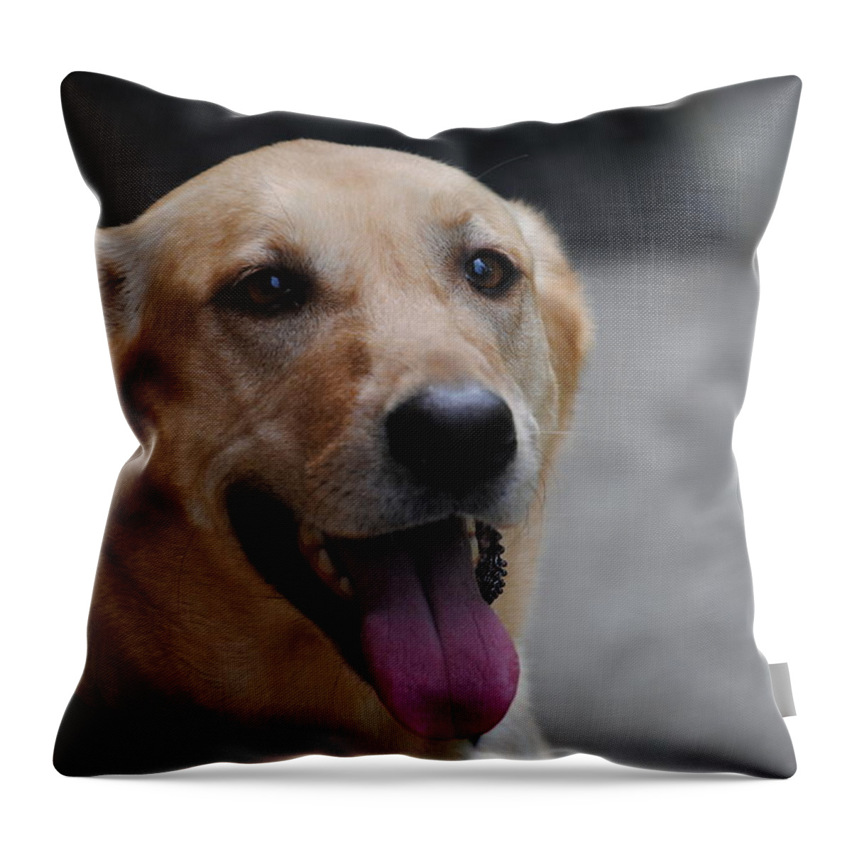 Pet Throw Pillow featuring the photograph My Dog Ubu by Eric Liller