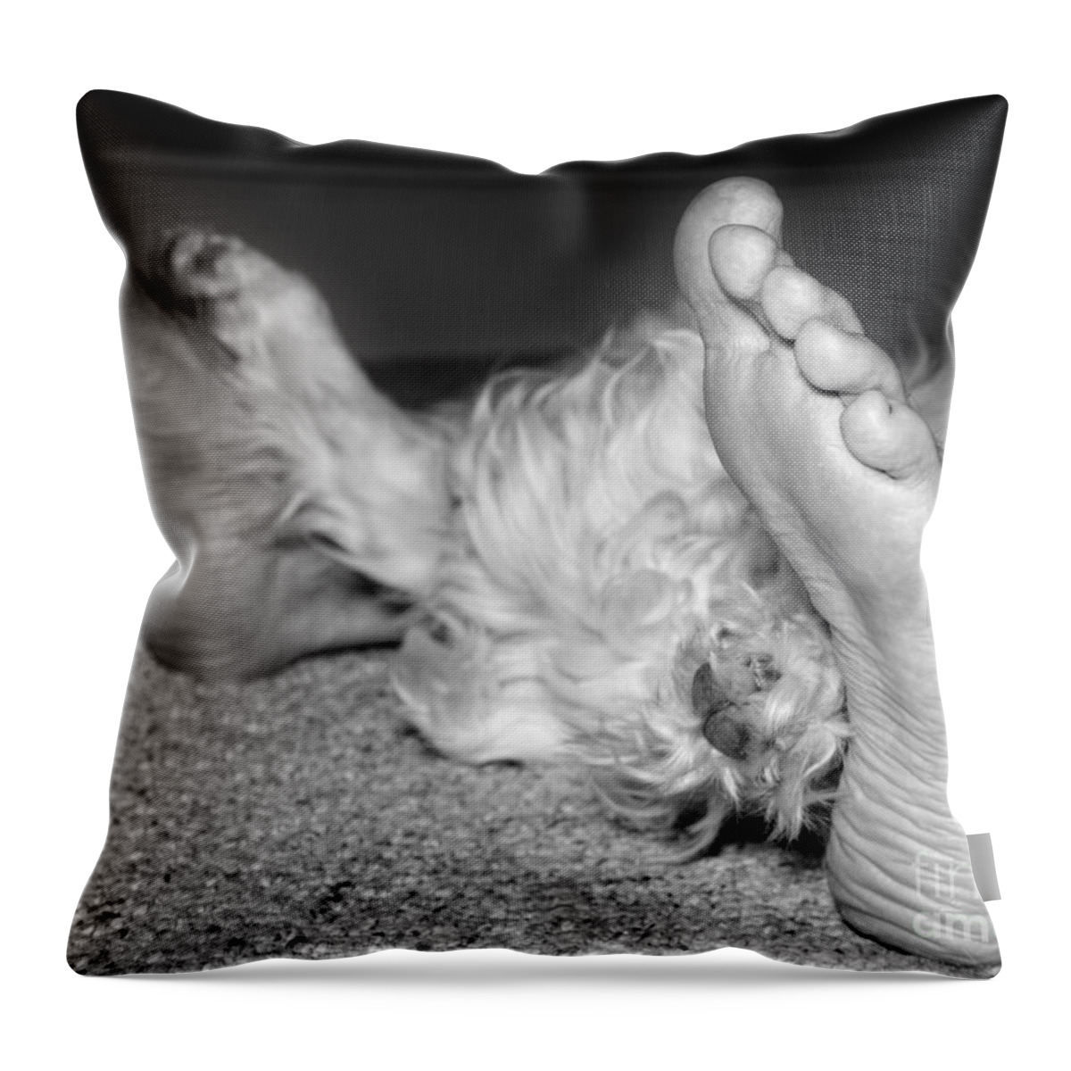 My Favorite Feet Throw Pillow featuring the photograph My Favorite Feet by Jemmy Archer