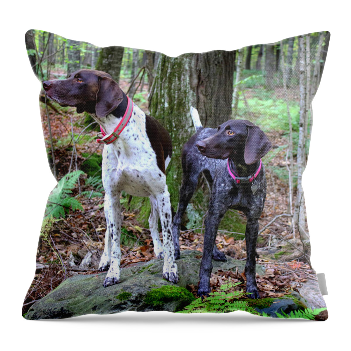  Throw Pillow featuring the photograph My Girls by Brook Burling