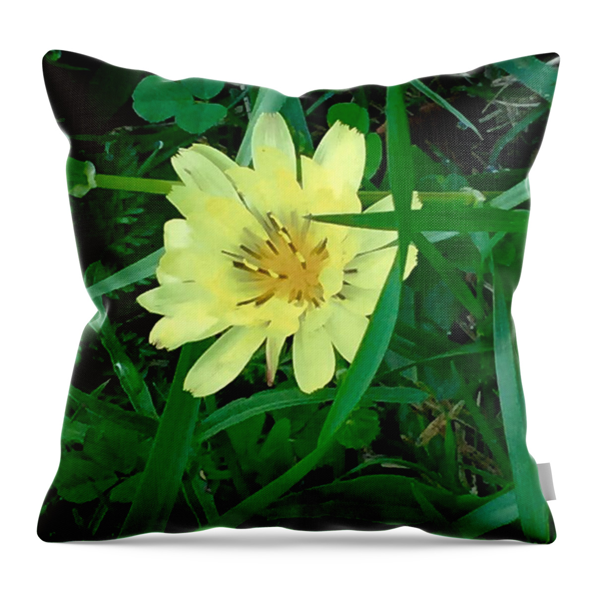 Nature Throw Pillow featuring the photograph My Happy Place by Etta Harris