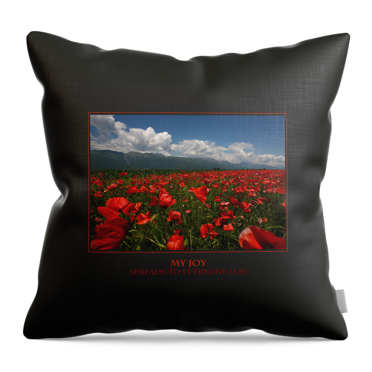 Motivational Art Throw Pillow featuring the photograph My Joy Spreads To Everyone Else by Donna Corless
