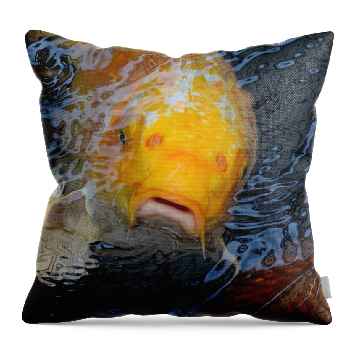 Koi Throw Pillow featuring the photograph Helloooo...... by Jimmy Chuck Smith