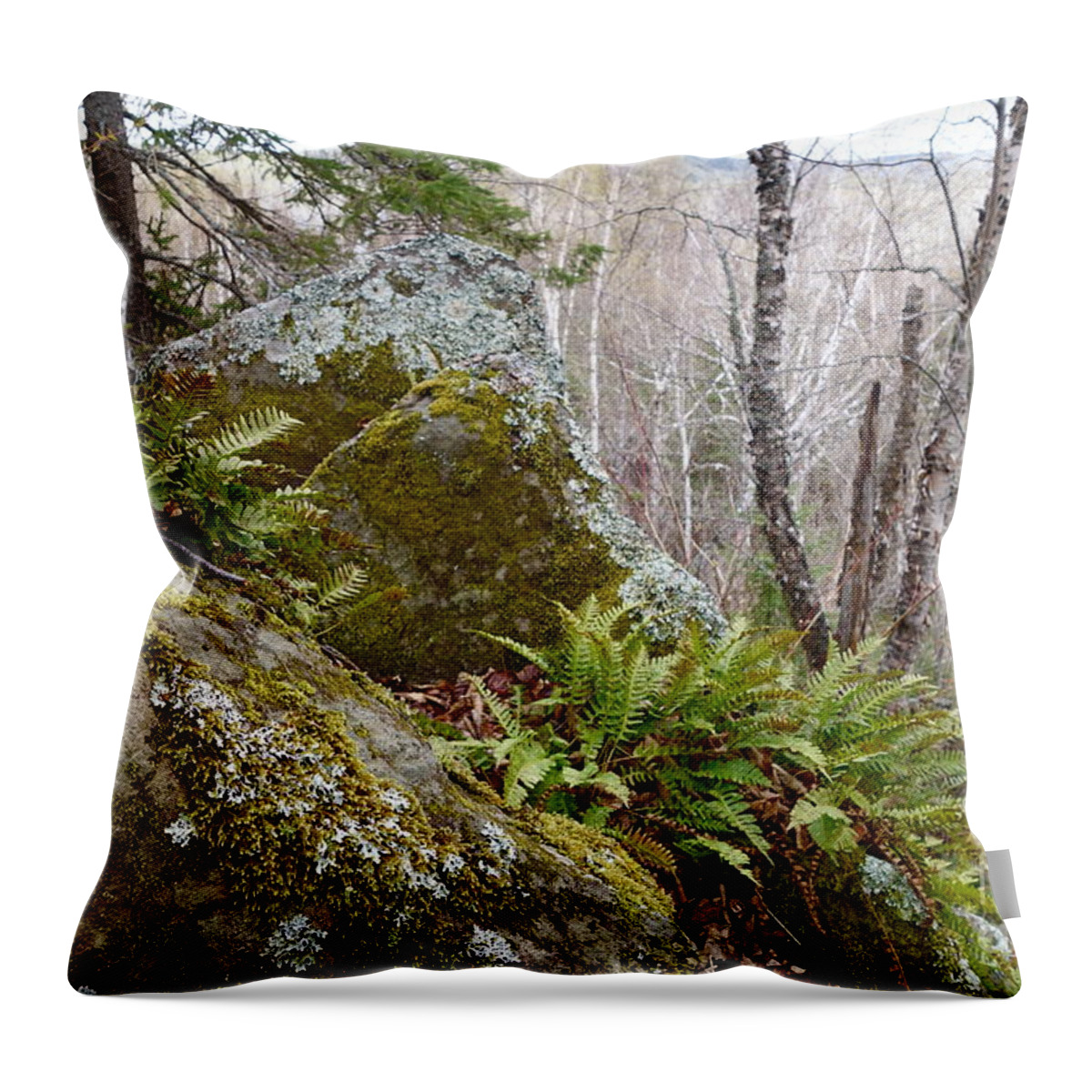 Rocky Hillside Throw Pillow featuring the photograph My Rocky Mountain High by Sandra Updyke