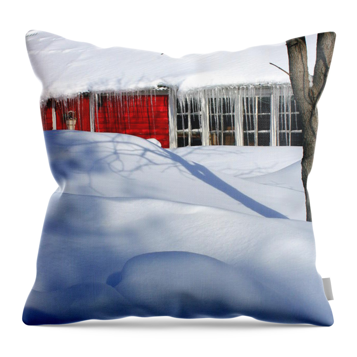 Barn Throw Pillow featuring the photograph My Summer Studio by Julie Lueders 