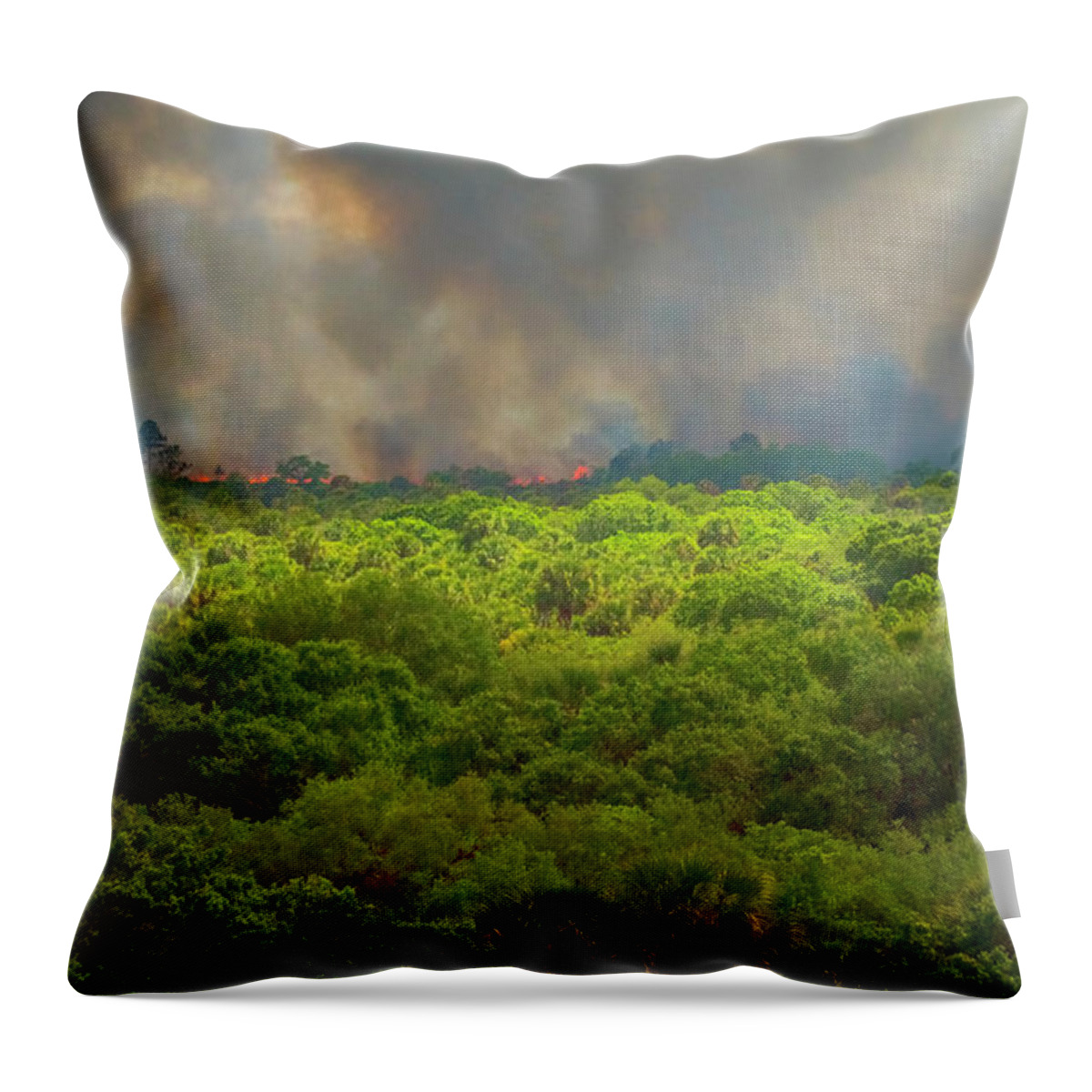 North Port Florida Throw Pillow featuring the photograph Myakka River Burn by Tom Singleton