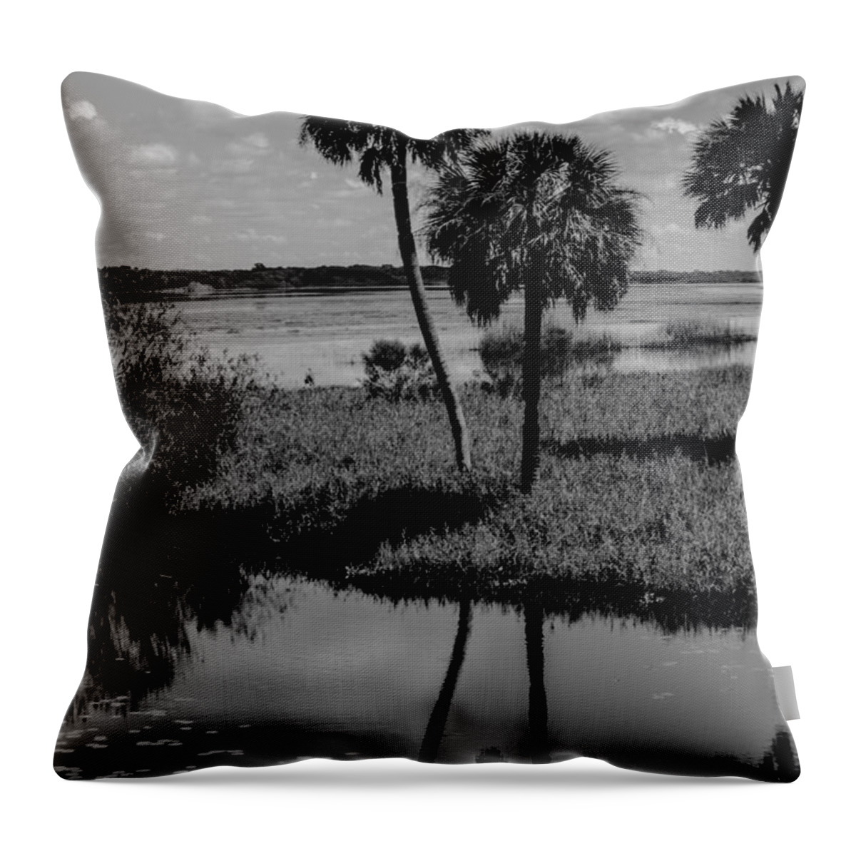  Throw Pillow featuring the photograph Myakka River Reflections by Susan Molnar