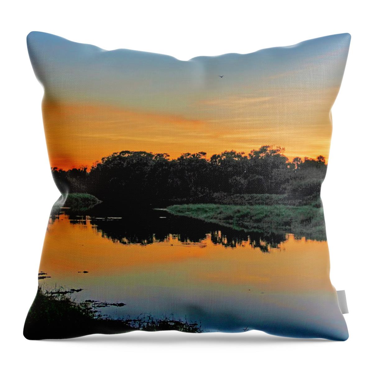 Myakka River State Park Throw Pillow featuring the photograph Myakka River State Park Sunset by H H Photography of Florida by HH Photography of Florida