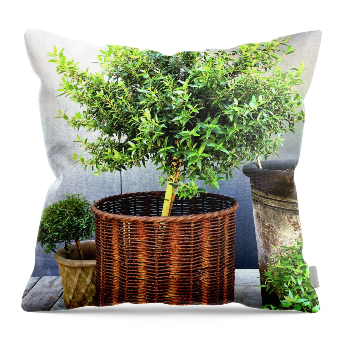Myrtle Throw Pillow featuring the photograph Myrtle tree in a rusty basket by GoodMood Art