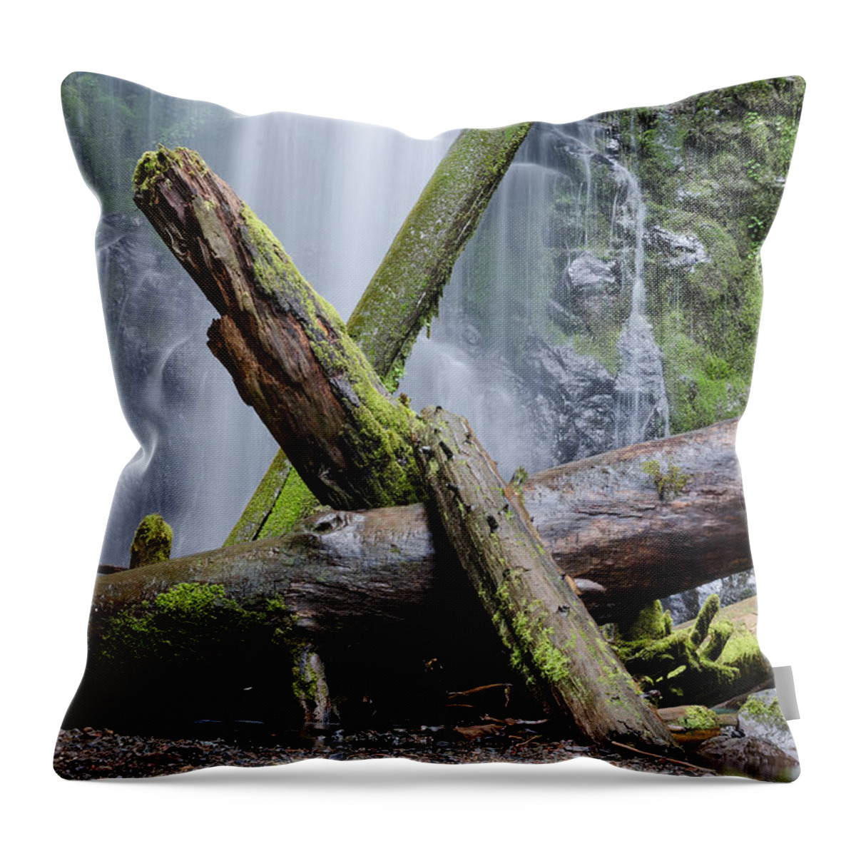 Oregon Throw Pillow featuring the photograph Mysteries in the Rainforest No. 2 by Margaret Pitcher