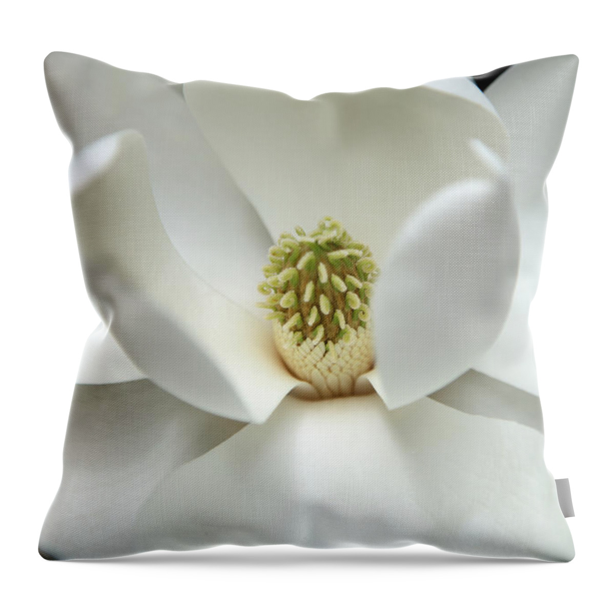 Magnolia Throw Pillow featuring the photograph Mysteriously by Amanda Barcon