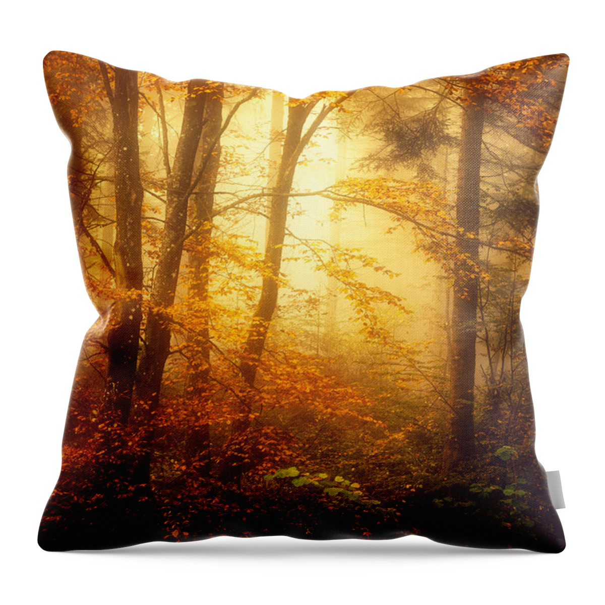 Forest Throw Pillow featuring the photograph Mystic Fog by Philippe Sainte-Laudy