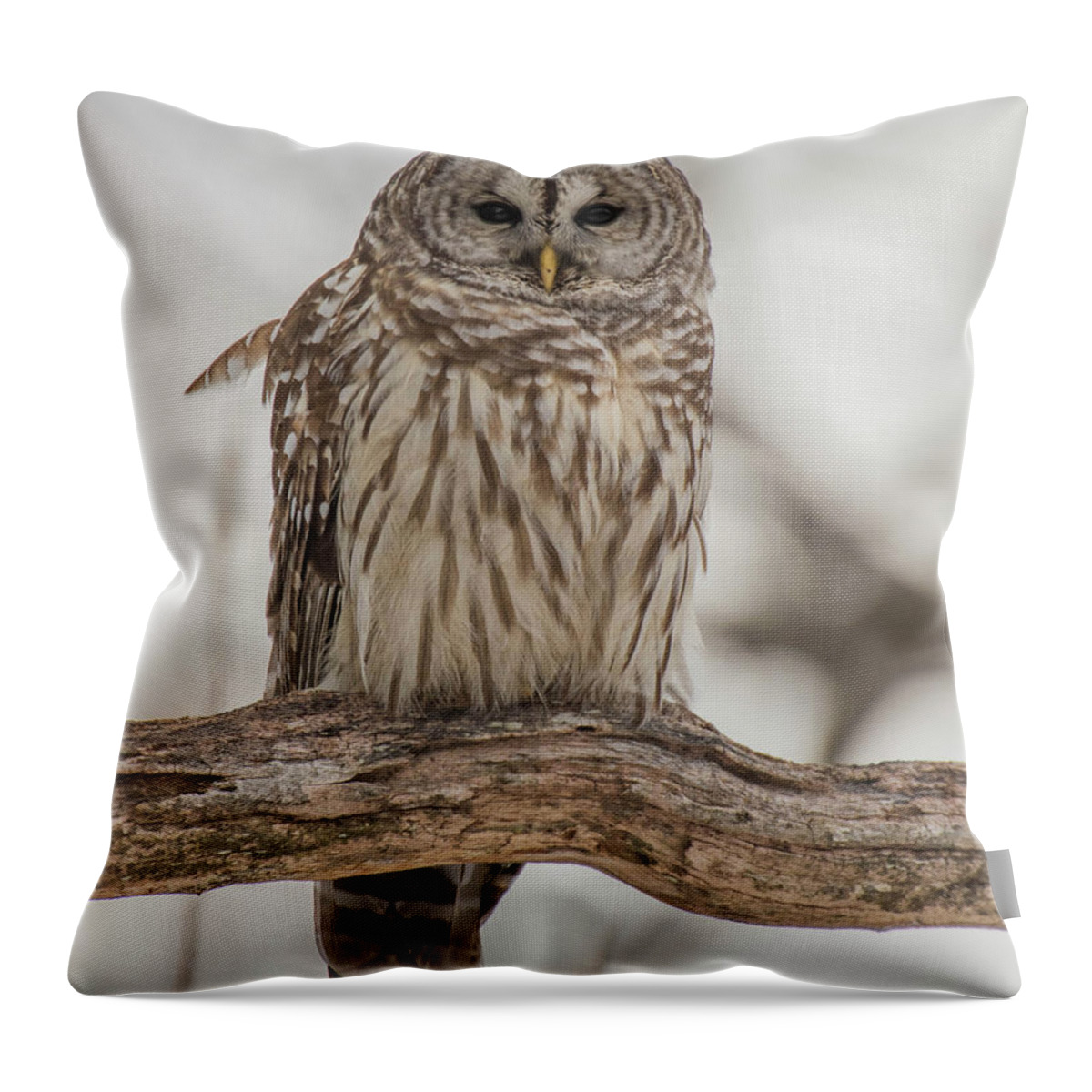 Nature Throw Pillow featuring the photograph Mystical Moment by Jody Partin
