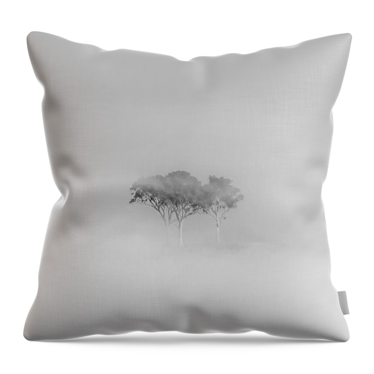 Black And White Throw Pillow featuring the photograph Mystique by Az Jackson