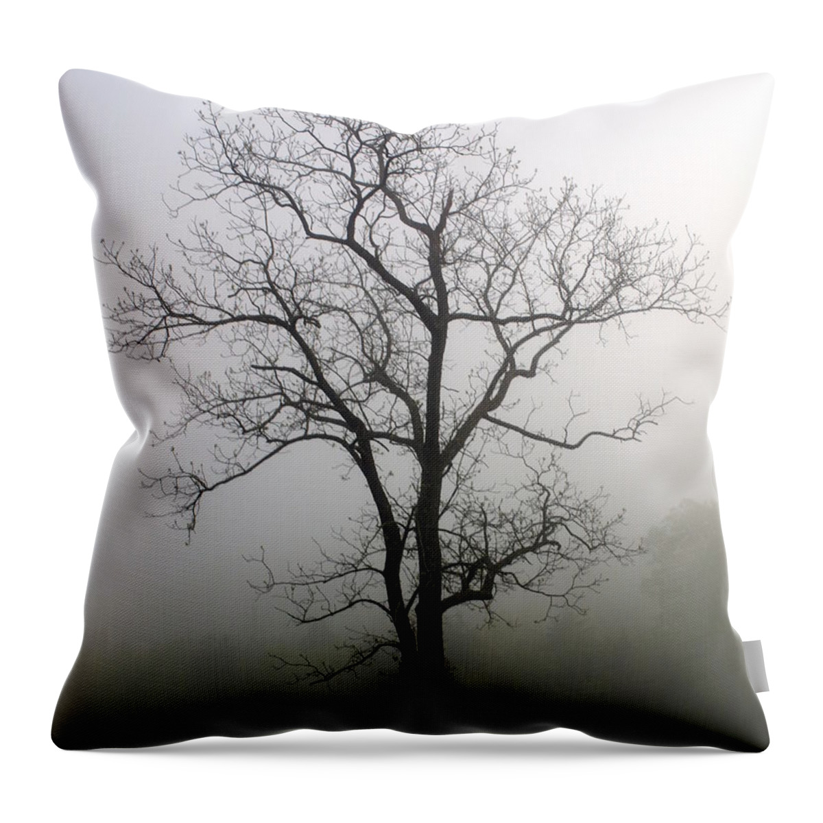 Tree Throw Pillow featuring the photograph Mysty Tree 3 by Marty Koch