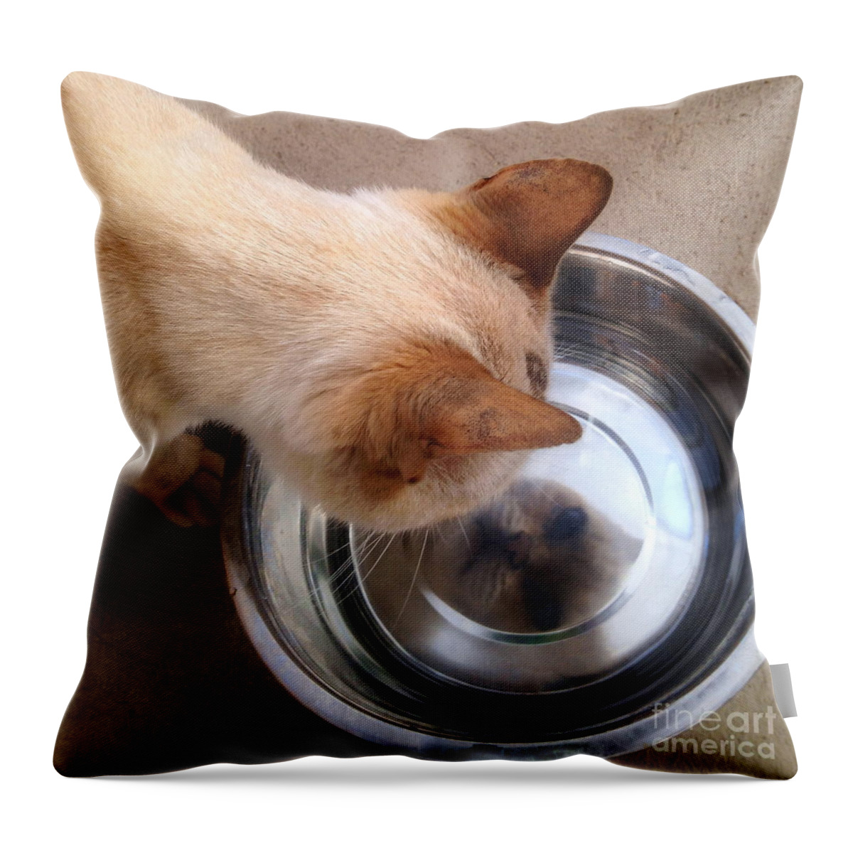  Throw Pillow featuring the photograph Naala1 by Angela Rath