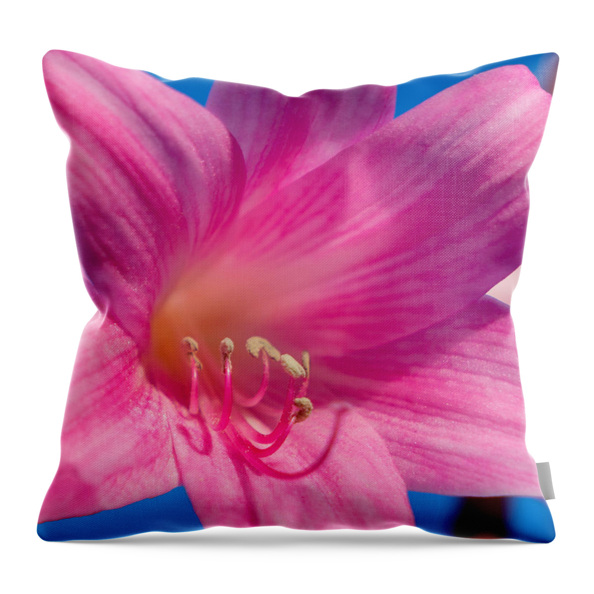 Flower Throw Pillow featuring the photograph Naked Lady by Derek Dean