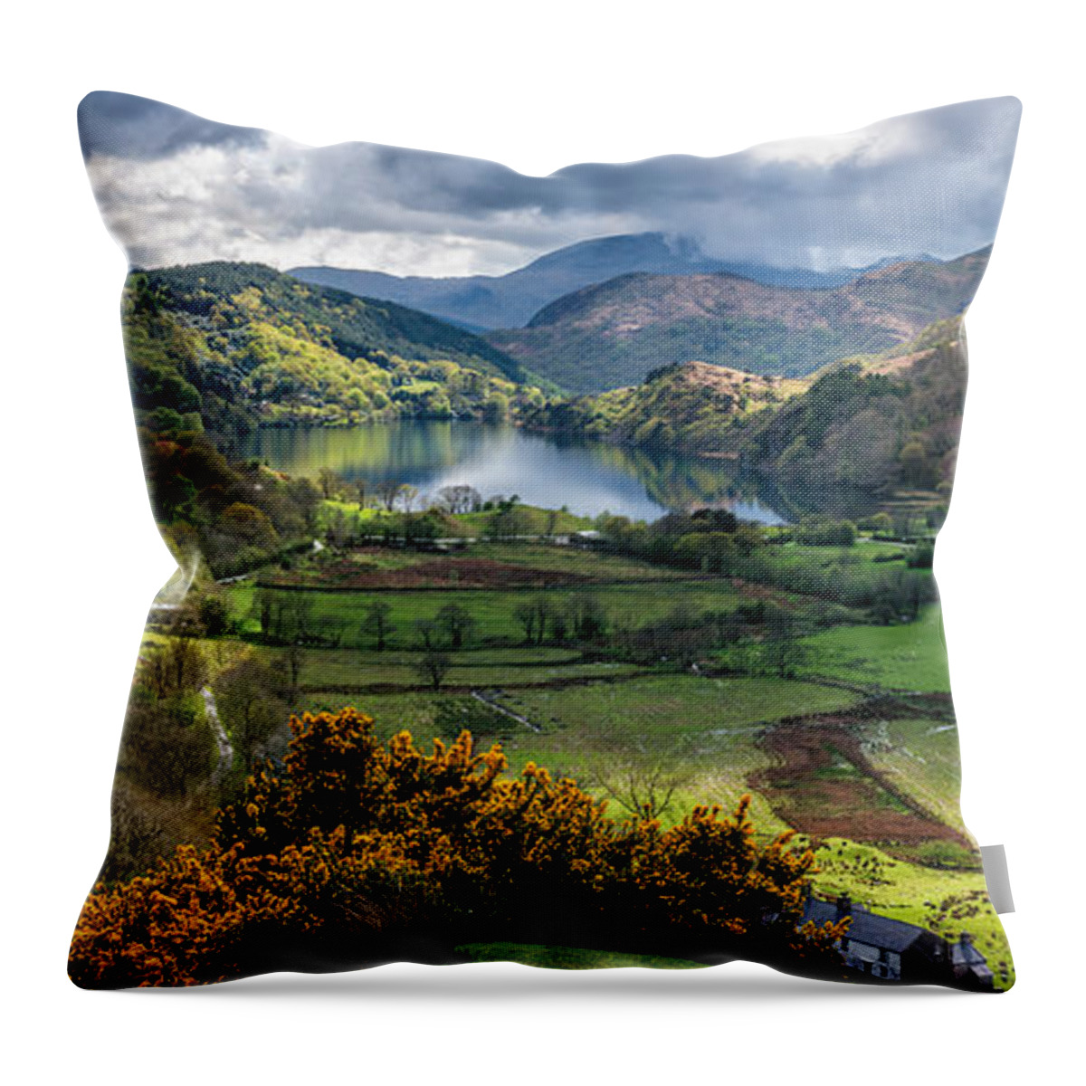 Gwynant Lake Throw Pillow featuring the photograph Nant Gwynant Valley by Adrian Evans