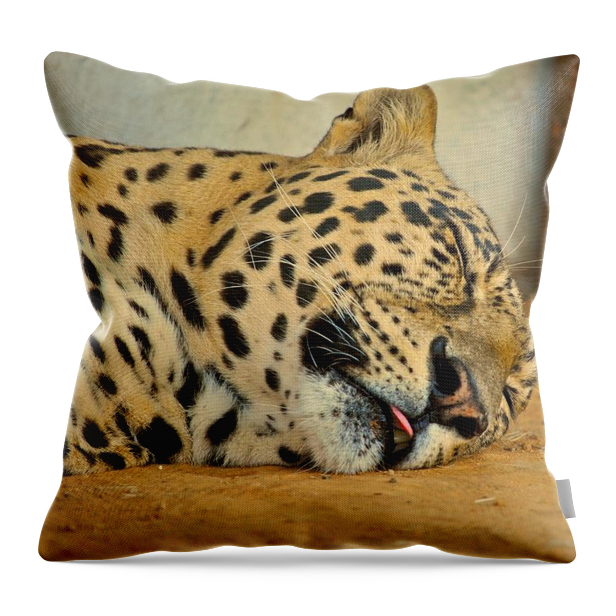 Leopards Throw Pillow featuring the photograph Nap Time by Donna Shahan